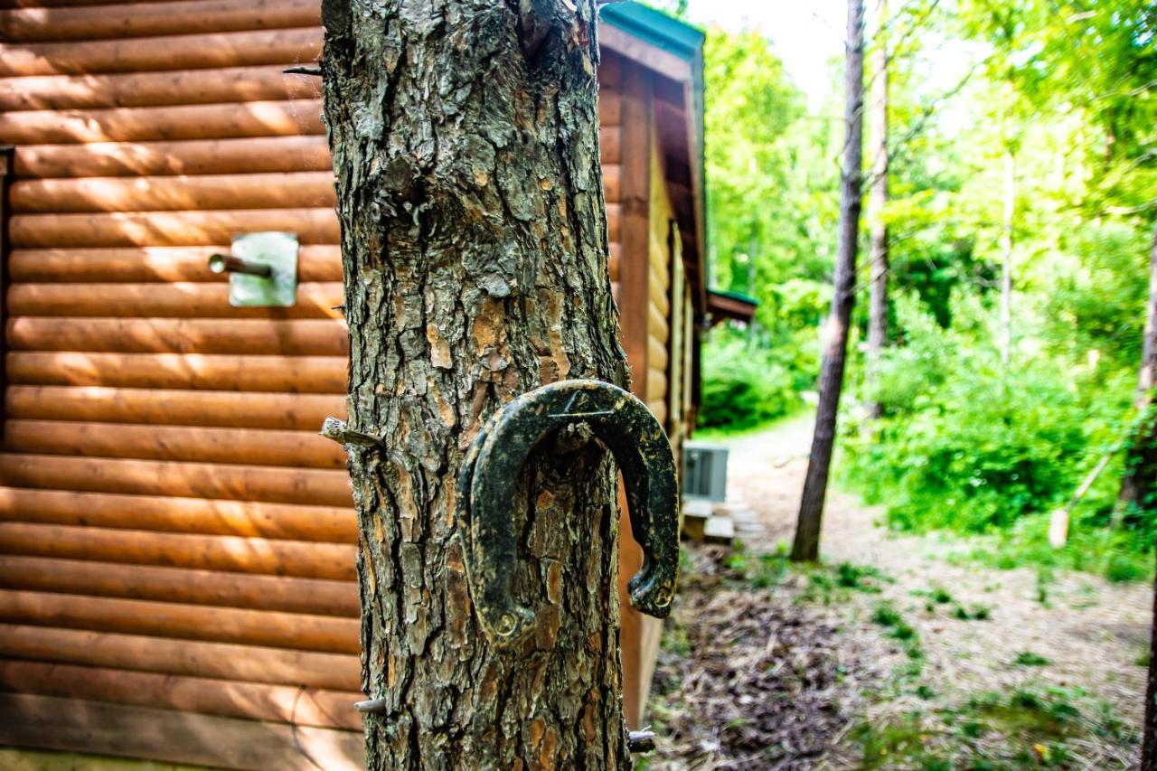 Avenwood Cabins Logan Exteriör bild